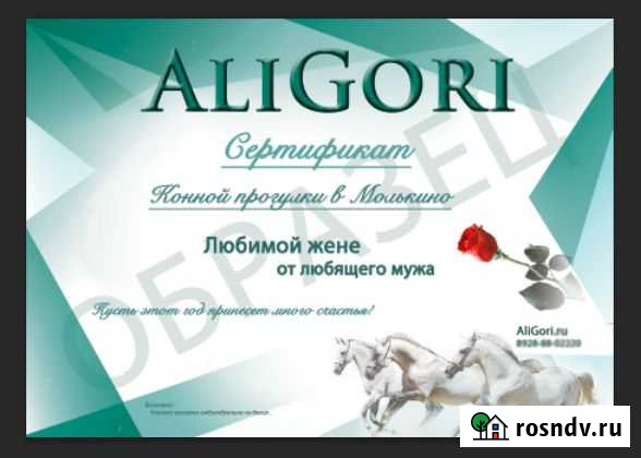 Подарочный сертификат путешествие на конях Краснодар - изображение 1