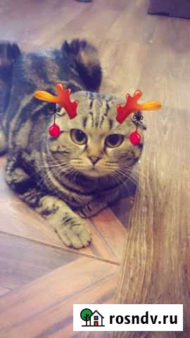 Вязка Промышленная - изображение 1