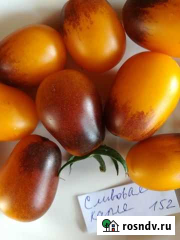 Семена томатов сливовая капля черри Смоленск - изображение 1