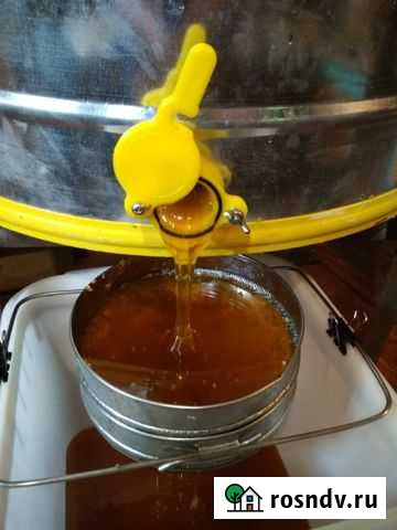 Мед Борисоглебск - изображение 1