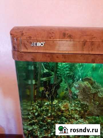 Аквариум Таганрог - изображение 1