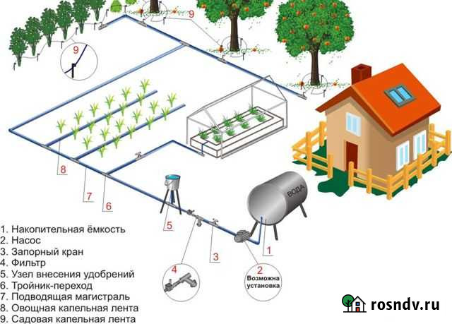 Капельный полив на вашем участке Новомосковск - изображение 1
