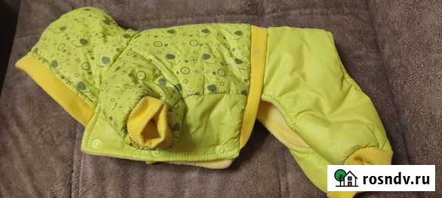 Одежда для маленьких собак Каменск-Уральский - изображение 1