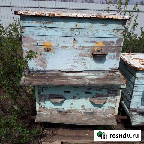 Ульи для пчел Новочеркасск - изображение 1