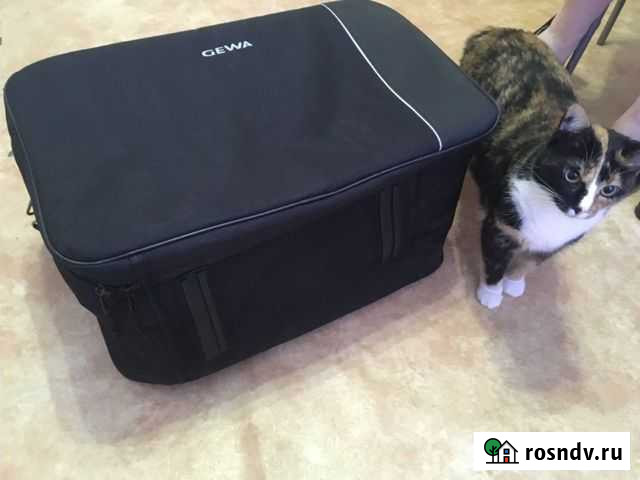 Чехол для кахона Gewa premium Петрозаводск - изображение 1