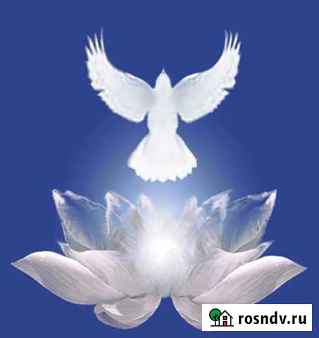 Удаленная работа на дому оператор чата Красноярск - изображение 1