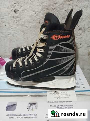 Коньки Приволжск - изображение 1