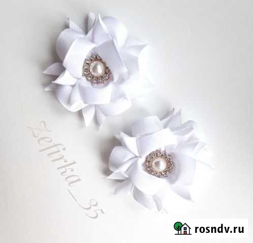 Камелии на резиночках Вологда - изображение 1