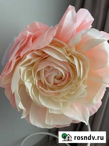 Декоративные цветы Красноярск - изображение 1