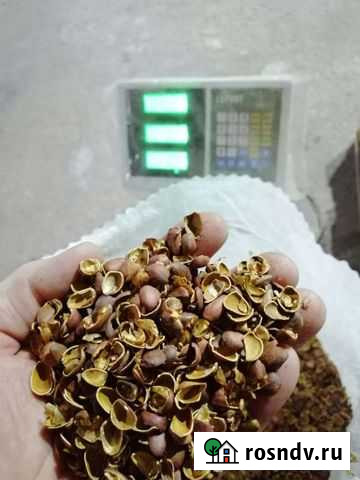 Скорлупа кедрового ореха Урожай 2021 Азнакаево - изображение 1