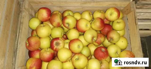 Яблоки Шалушка - изображение 1