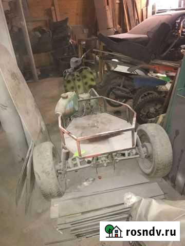 Муравей Ельня - изображение 1