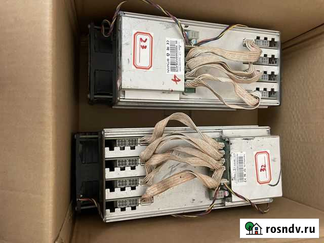 Асик Л3+’ Хасавюрт - изображение 1