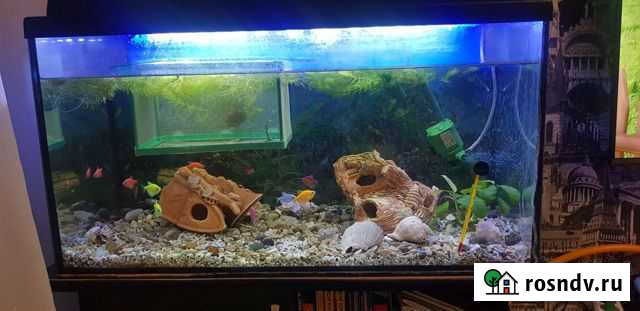 Аквариум с тумбой100 литров Балаково - изображение 1