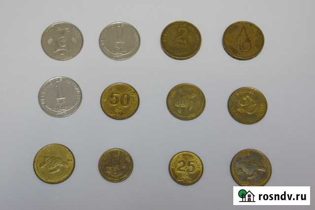 Монеты Мальдивы. Мальдивские Острова Березники - изображение 1