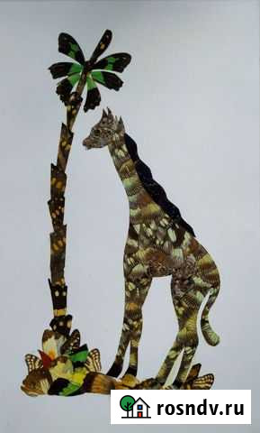 Картина из крыльев бабочек. Жираф Чебоксары - изображение 1