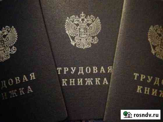 Трудовая книжка Альметьевск