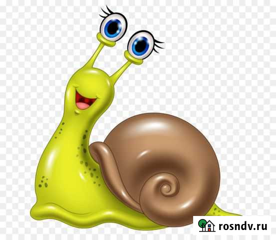 Репетитор начальных классов (офлайн/онлайн) Брянск - изображение 1