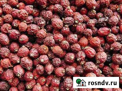 Шиповник сушеный Екатеринбург - изображение 1