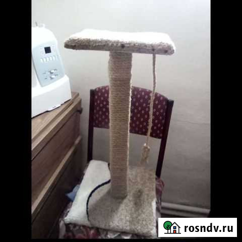 Когтеточка, домик, лежанка для кошек и собак Каменск-Шахтинский - изображение 1