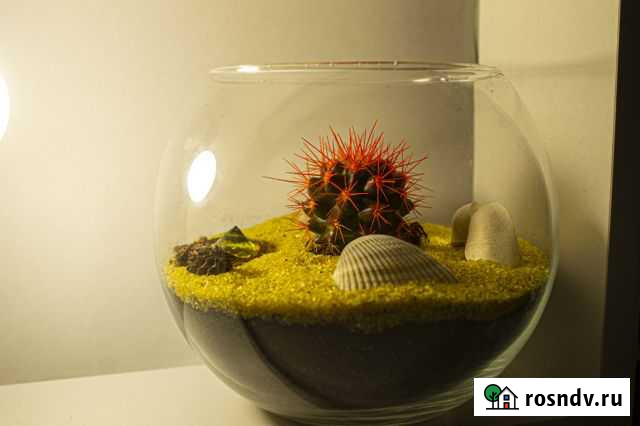 Флорариум Стерлитамак - изображение 1