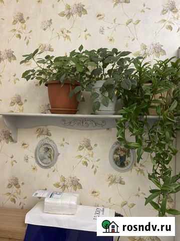 Полка навесная Красноярск - изображение 1