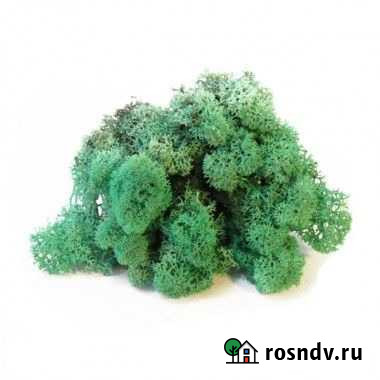 Продам стабилизированный мох ягель Ялта - изображение 1