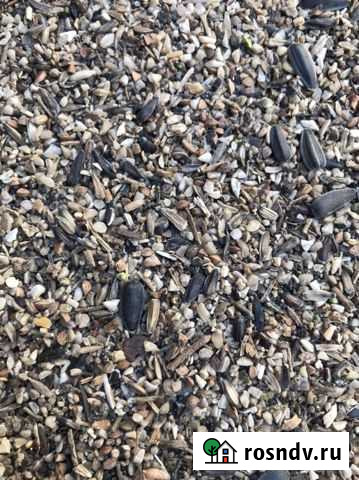 Отходы Семечки Элиста - изображение 1