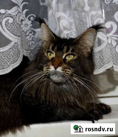 Продажа или совладение Краснодар - изображение 1