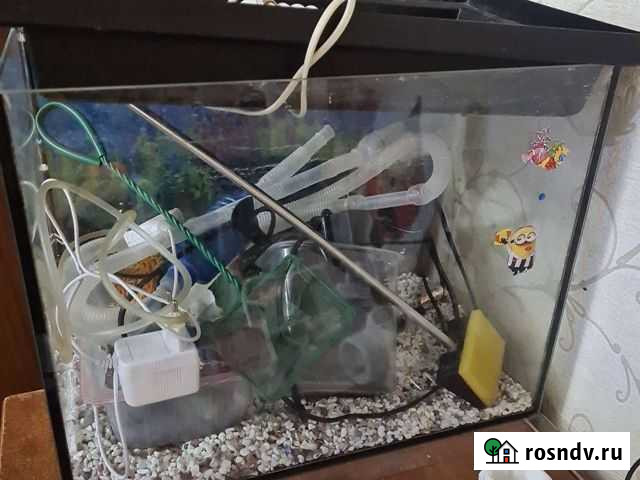 Аквариум Петропавловск-Камчатский - изображение 1