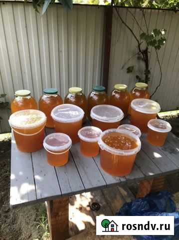 Продаю мед Туапсе - изображение 1