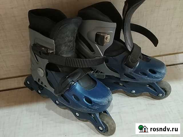 Ролики Чита - изображение 1