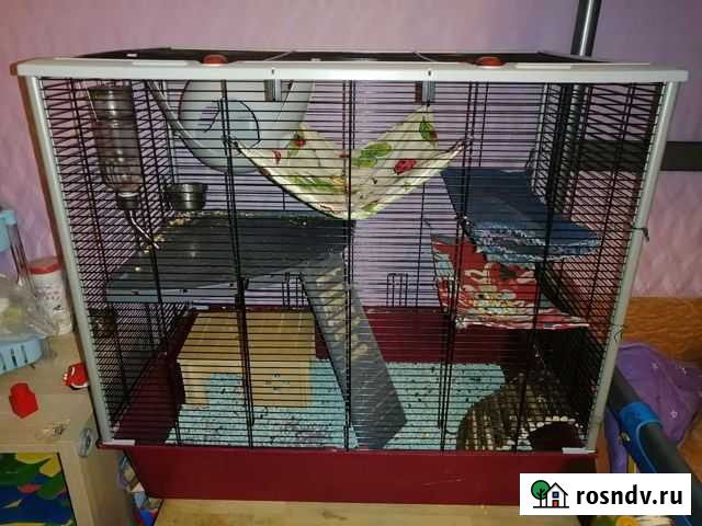 Клетка для грызунов ferplast furet plus Люберцы - изображение 1