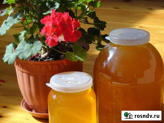 Мед Избербаш - изображение 1