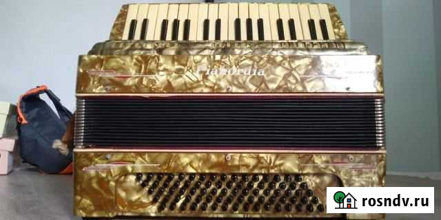 Аккордеон Новомосковск - изображение 1