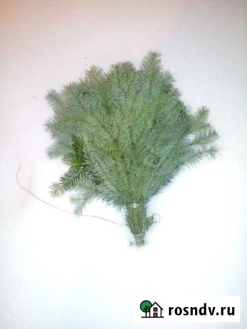 Пихтовые веники Ухта - изображение 1