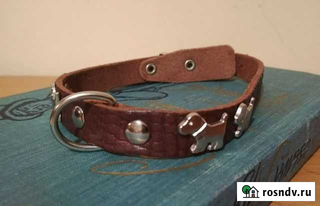 Одежда, ошейники и шлейка для собак Ялта - изображение 1