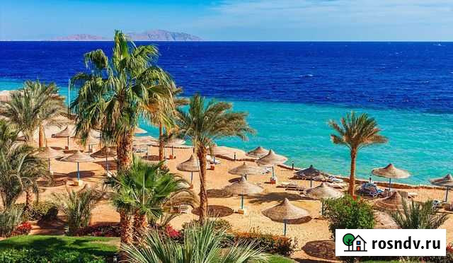 Путёвка в Египет на двоих 4+ на 8 дней Владимир - изображение 1