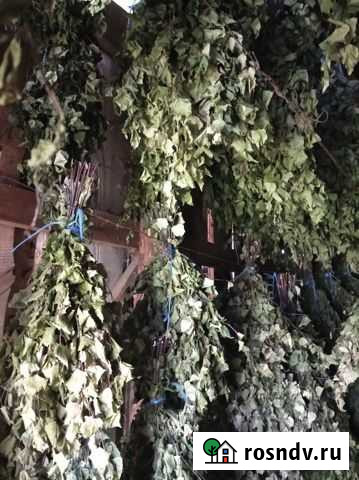 Веники березовые, обычные: с травами,хранением в с Красноярск - изображение 1