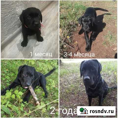 Вязка. кабеля Воткинск - изображение 1