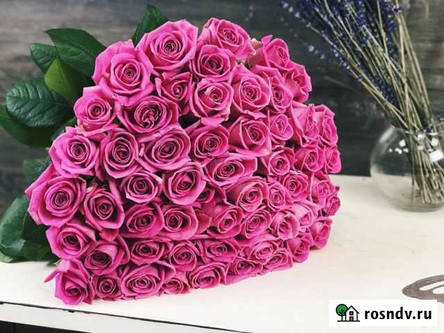 Розы розовые Аква 61 шт Доставка Краснодар - изображение 1