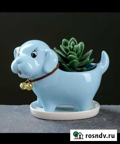 Кашпо собачка керамика Севастополь - изображение 1