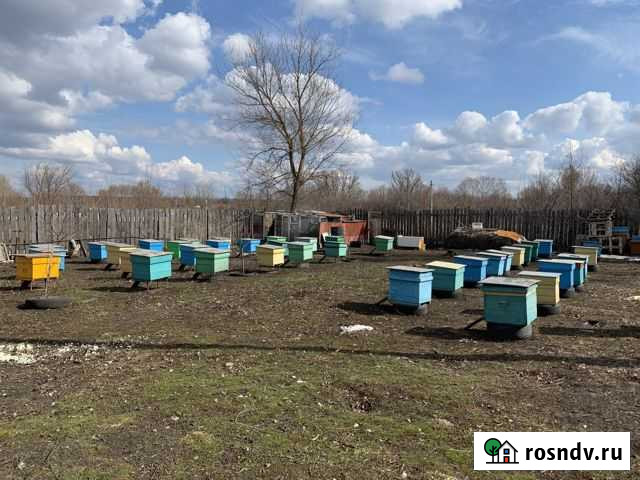 Сушь магазинная Тамбов - изображение 1