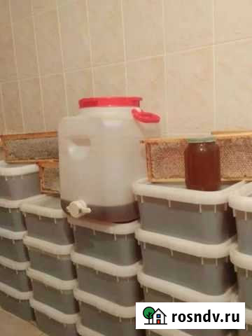 Мед с доставкой Кострома - изображение 1