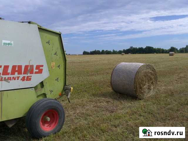 Сено Великий Новгород - изображение 1