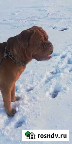 Вязка Нижний Новгород - изображение 1