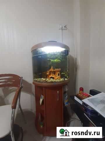 Аквариум Jebo Балашиха - изображение 1