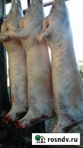 Мясо баранина Саратов - изображение 1