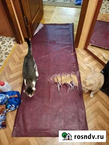 Отдам дермантин и поролон на поделки и самодельнич Нижний Новгород - изображение 1