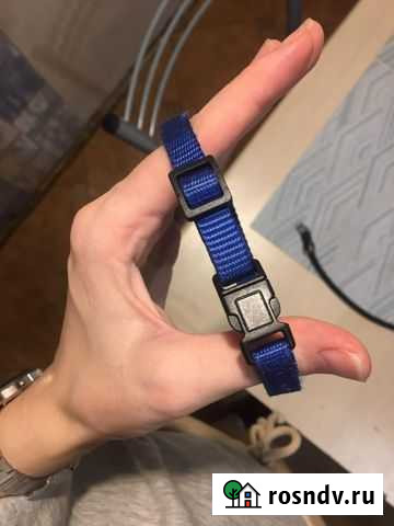 Ошейник нейлоновый Петрозаводск - изображение 1